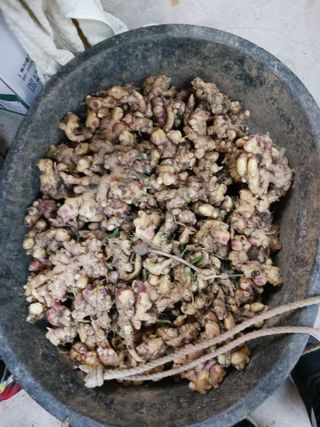 덕촌님의 오늘 어떤 농작업하셨나요? · 참여글 작성글 사진