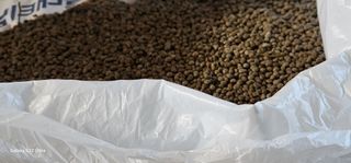 농업을꿈꾸다님의 오늘 어떤 농작업하셨나요? · 참여글 작성글 사진