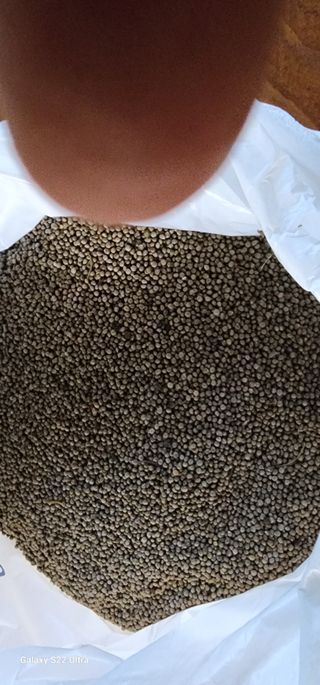 농업을꿈꾸다님의 오늘 어떤 농작업하셨나요? · 참여글 작성글 사진