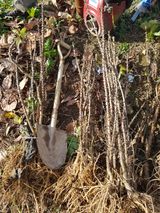 팜모닝 기타작물·자유게시판 게시글 이미지