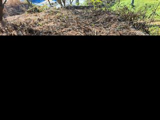 나도농부님의 오늘 어떤 농작업하셨나요? · 참여글 작성글 사진