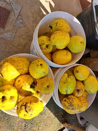 나도농부님의 오늘 어떤 농작업하셨나요? · 참여글 작성글 사진