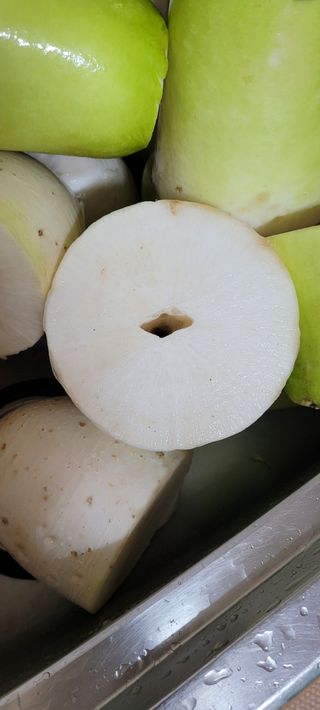 박영준님의 오늘 어떤 농작업하셨나요? · 참여글 작성글 사진