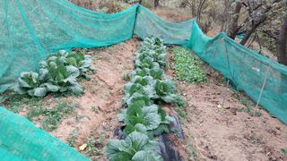 고마운 농부님의 오늘 어떤 농작업하셨나요? · 참여글 작성글 사진