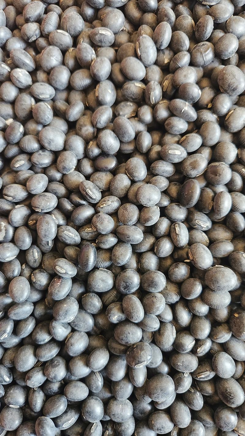 장터 상품 [23년산 서리태] 썸네일