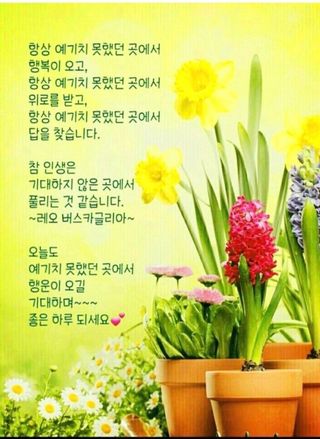 심수연님의 자유주제 · 자유게시판 작성글 사진
