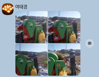 최용운님의 콩 · 자유게시판 작성글 사진