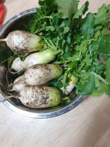 팜모닝 오늘 어떤 농작업하셨나요?·참여글 게시글 이미지