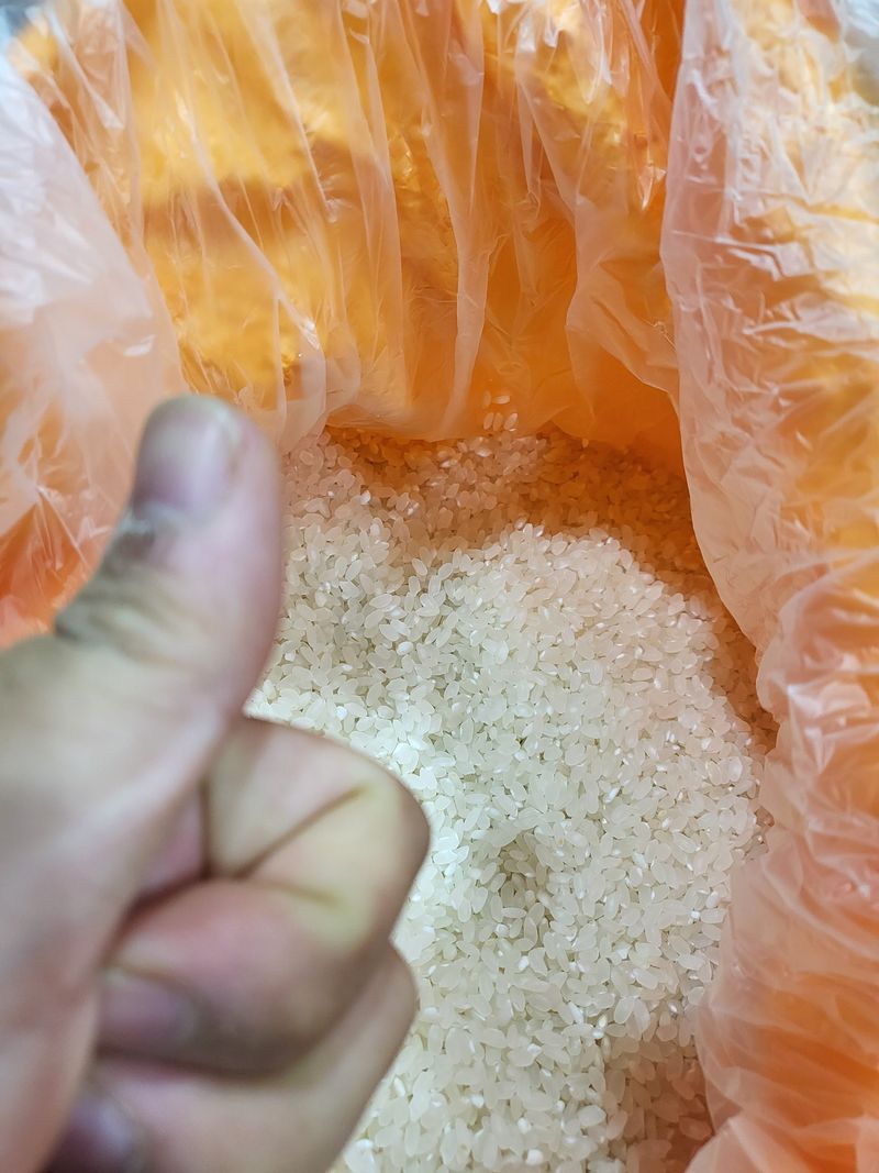 장터 상품 [영광 으뜸신동진쌀 20kg] 썸네일