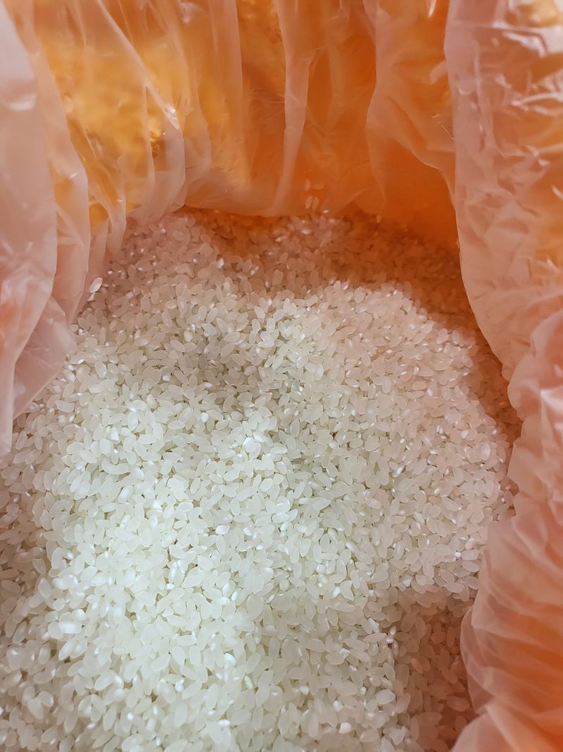 김영진(전남영광)님의 장터 판매 상품 [영광 으뜸신동진쌀 20kg] 첨부 사진