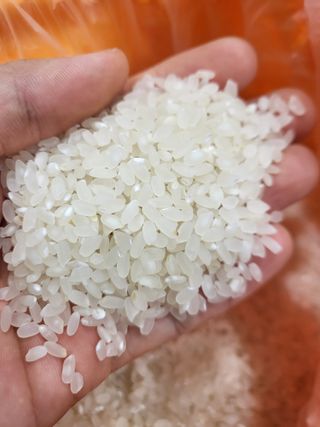 김영진(전남영광)님의 작성글 사진