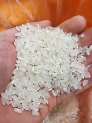 김영진(전남영광)님의 작성글 사진