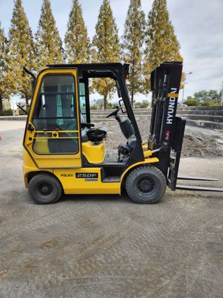 김저팔계님의 배추 · 영농일지 작성글 사진