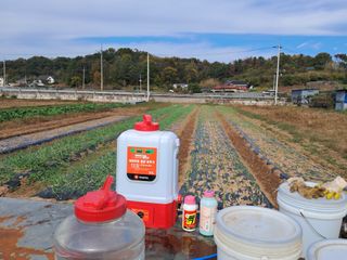 김동환님의 오늘 어떤 농작업하셨나요? · 참여글 작성글 사진