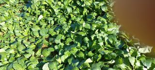 강정순님의 작성글 사진