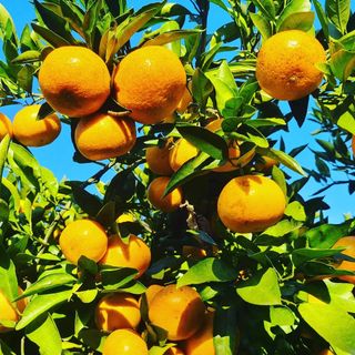 오정현님의 작성글 사진