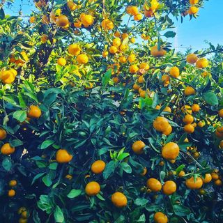 오정현님의 작성글 사진