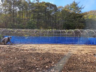 시금치15102님의 오늘 어떤 농작업하셨나요? · 참여글 작성글 사진