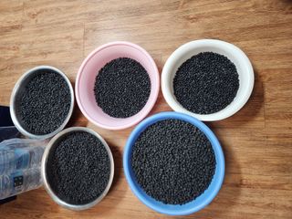 박정하님의 콩 · 자유게시판 작성글 사진