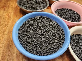 박정하님의 콩 · 자유게시판 작성글 사진