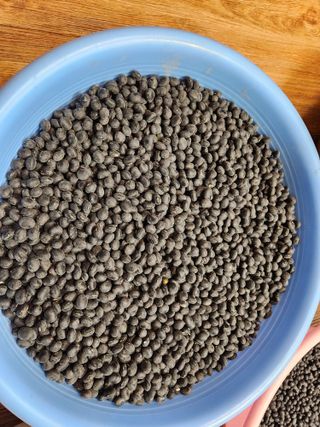 박정하님의 콩 · 자유게시판 작성글 사진