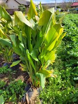 팜모닝 오늘 어떤 농작업하셨나요?·참여글 게시글 이미지