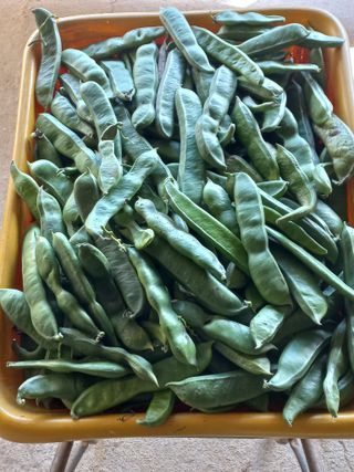 박린님의 자유주제 · 자유게시판 작성글 사진