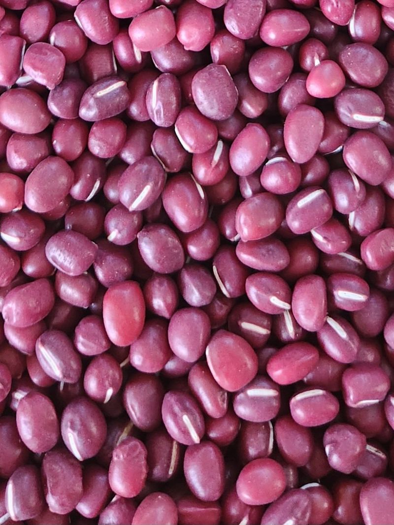 장터 상품 [적두팥] 썸네일