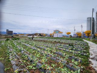 손정아님의 자유주제 · 자유게시판 작성글 사진