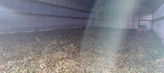 이범규님의 콩 · 자유게시판 작성글 사진