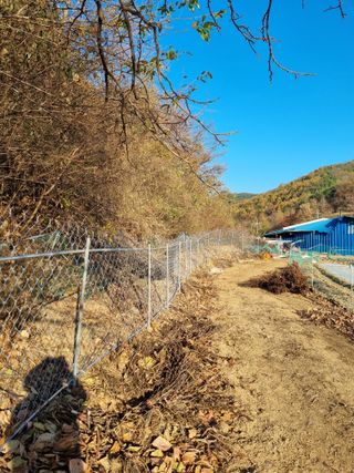 최영환님의 오늘 어떤 농작업하셨나요? · 참여글 작성글 사진