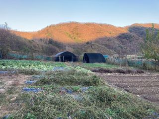이봉수님의 오늘 어떤 농작업하셨나요? · 참여글 작성글 사진