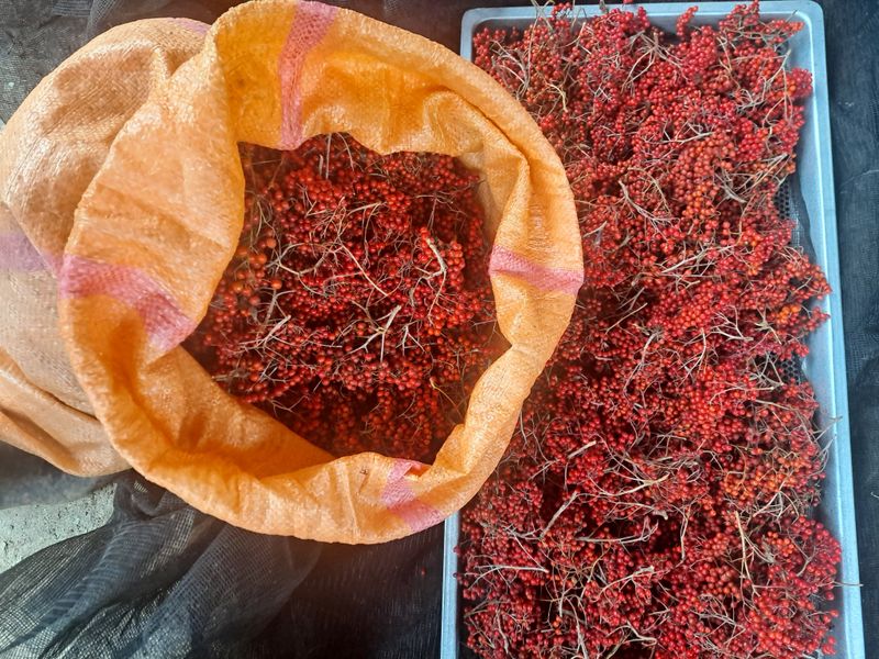 장터 상품 [마가목열매1키로] 썸네일