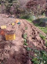 팜모닝 오늘 어떤 농작업하셨나요?·참여글 게시글 이미지