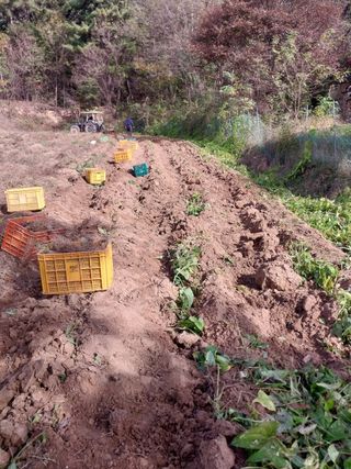 주재순님의 오늘 어떤 농작업하셨나요? · 참여글 작성글 사진
