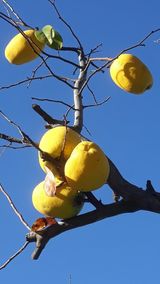 팜모닝 자유주제·자유게시판 게시글 이미지