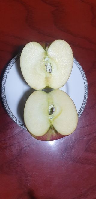 호랑이와인성이님의 작성글 사진