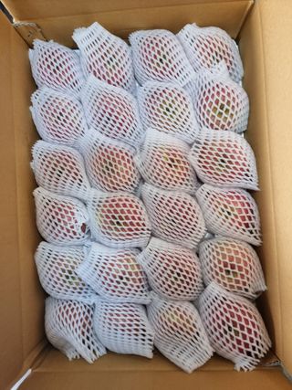 호랑이와인성이님의 작성글 사진