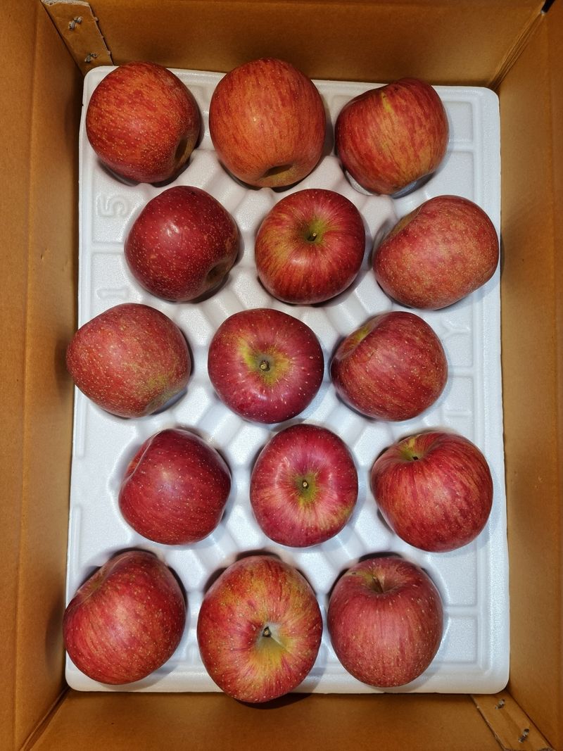 호랑이와인성이님의 장터 판매 상품 [미안마부사 5kg~한정판매 ] 첨부 사진