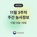 팜모닝 팜모닝공식·혜택 게시글 이미지