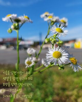 유병욱님의 벼 · 자유게시판 작성글 사진