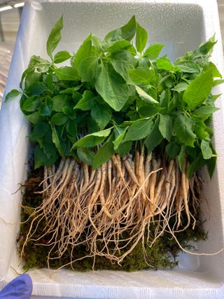 알 수 없음님의 작성글 사진