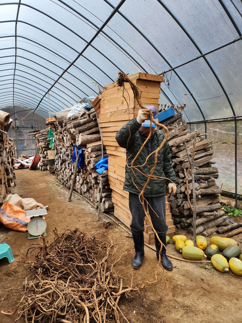 장터 상품 [황기] 썸네일