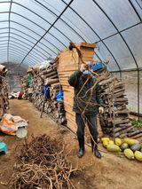 팜모닝 · 게시글 이미지