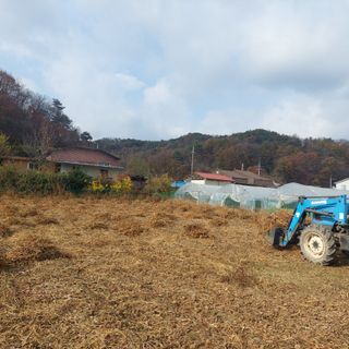 강원도 횡성군님의 콩 · 자유게시판 작성글 사진