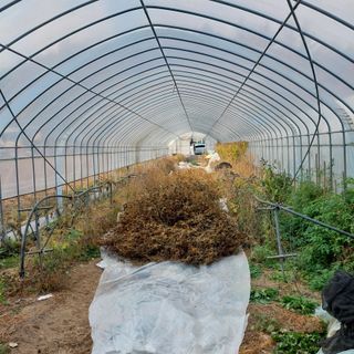 강원도 횡성군님의 콩 · 자유게시판 작성글 사진