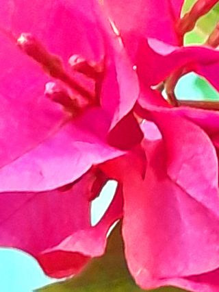 이미옥님의 벼 · 영농일지 작성글 사진