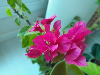 이미옥님의 벼 · 영농일지 작성글 사진