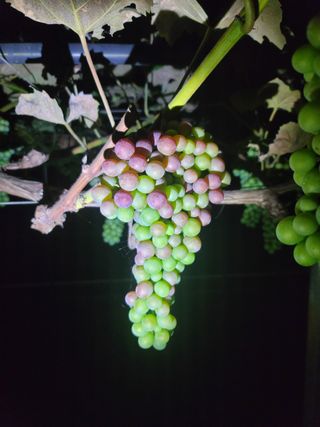 도랑생각님의 팜모닝 · 출석 작성글 사진