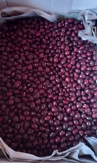 장만월님의 오늘 어떤 농작업하셨나요? · 참여글 작성글 사진